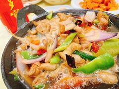 -东北饺子馆(马尾君竹店)