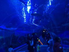 -成都浩海立方海洋公园