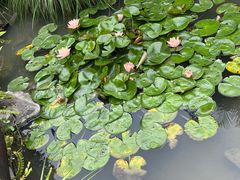 -汇雅温泉