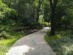 -成都市活水公园