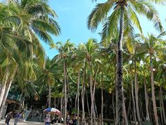 -海南分界洲岛旅游区