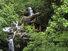-大围山国家森林公园