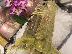 -鲜入围煮花胶鸡海鲜火锅