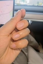 -好看加白色房子