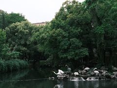 -武汉洲际酒店
