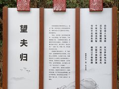 -羚羊峡古栈道森林公园