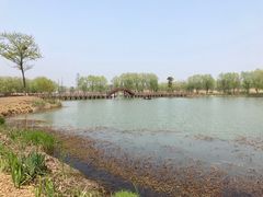 -长兴太湖图影湿地文化园