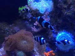 -成都浩海立方海洋公园