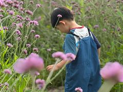 -楠溪江风景名胜区