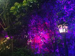 -宝莱纳啤酒花园餐厅PAULANER BRAUHAUS Nanjing(广州路店)
