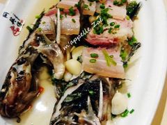 咸肉蒸“昂子”鱼-阿英煲(凉城路店)