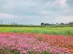 -光明小镇欢乐田园