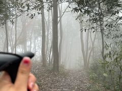 -午潮山国家森林公园