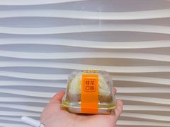 -GANSO元祖食品(滨湖万达店)