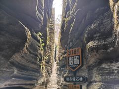 -梭布垭石林景区