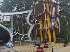 -枫花园汽车电影院(朝阳公园店)