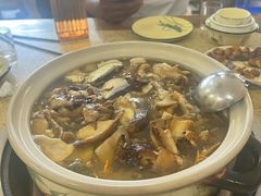 -杨记山珍鸡煲菌汤锅