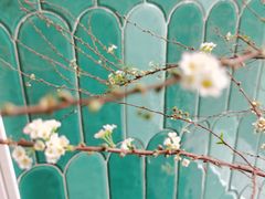 -甜阿姨·天台花园私房菜(万松园店)