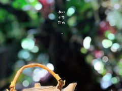 -森味薪火烧•烧鸟居酒屋•日本料理(望京店)