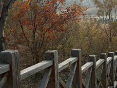 -野鸭湖国家湿地公园