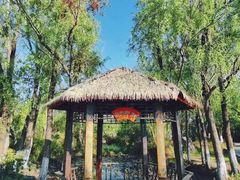 -西昌邛海湿地