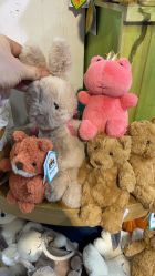 -国际蓝孩(将台路店)