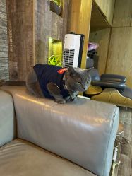 -青木造型HAIR·あおき髪を刈る潮人店