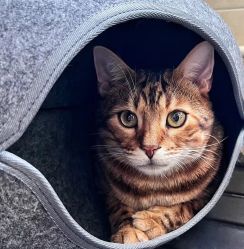 -Oasis Beauty水磨坊科技美肤中心