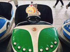 -广东花都香草世界旅游度假区