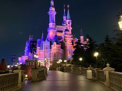 -Tangled Tree Tavern 老藤树食栈