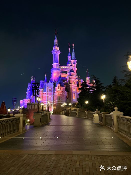 Tangled Tree Tavern 老藤树食栈图片