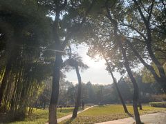 -南京航空航天大学(明故宫校区)