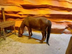 -酷嗒动物文化乐园(cutezoo西溪乐天城店)