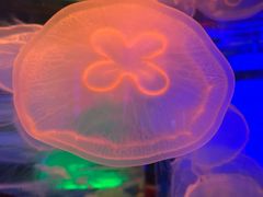 -石林冰雪海洋世界