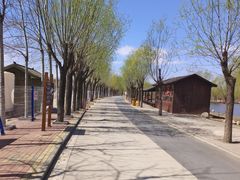 -杨柳青庄园