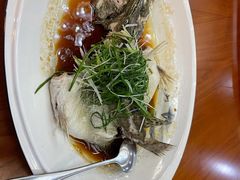 清蒸深海斑鱼-松雅轩海鲜酒家(同和店)