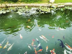 -三里河公园