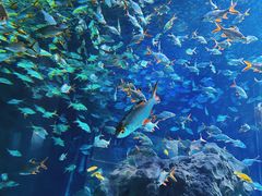 -成都浩海立方海洋公园