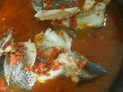 -风鑫铃罗非鱼(道沟店)