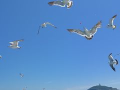 -海驴岛(荣成市)