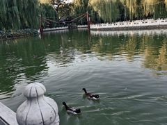 -丰台花园