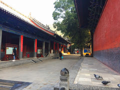 景点-少林寺景区