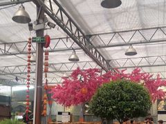 -老磨油饼(高陵店)