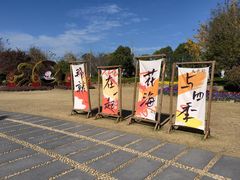 -径山花海