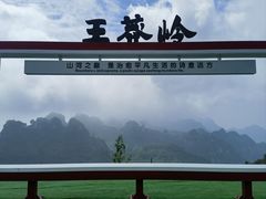 -王莽岭风景区