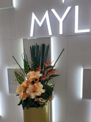 点击看大图 -深圳美莱医疗美容医院