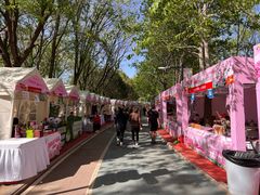 -太阳宫公园