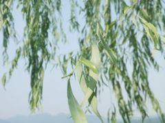 -西湖天地