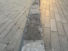 -哈尔滨大剧院