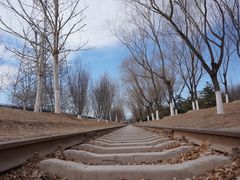 -永定河休闲森林公园